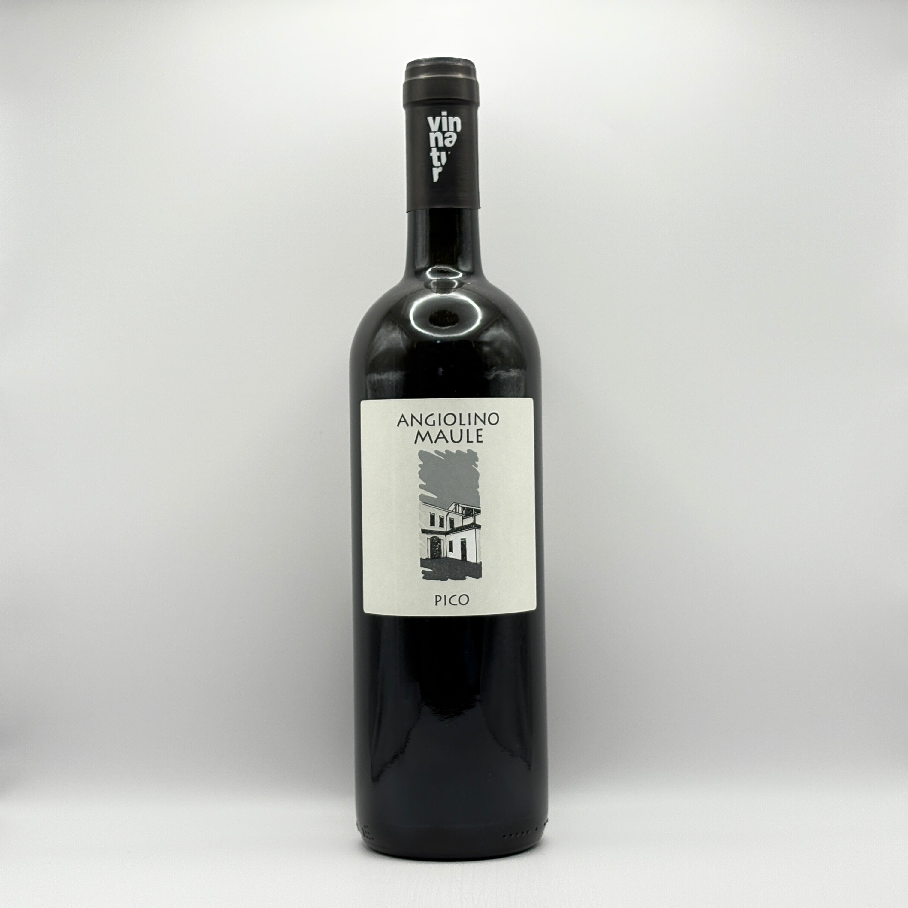 Pico Bianco Veneto IGT 2021