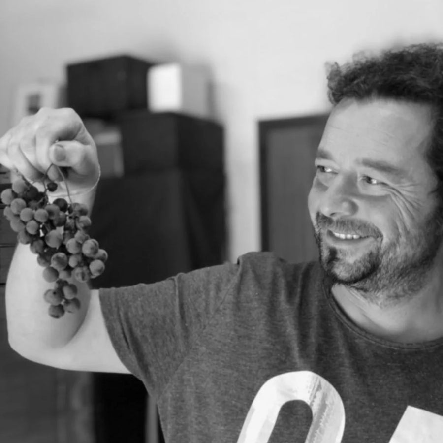 Podere Cipolla